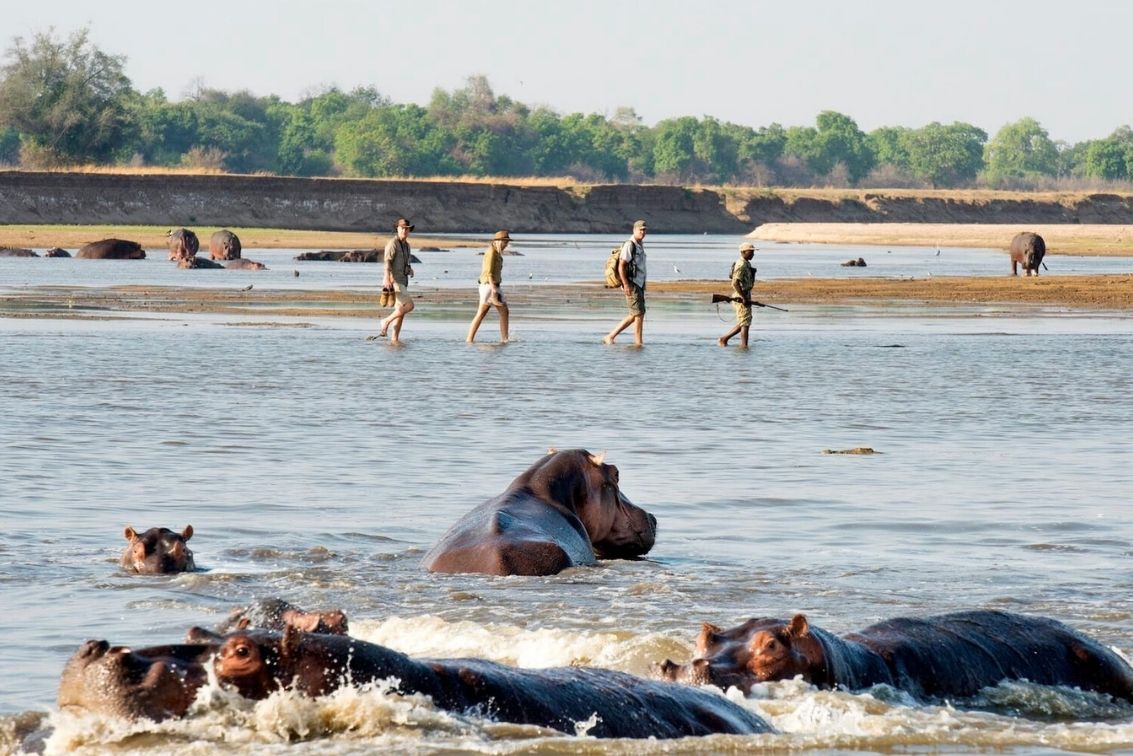 Why Zambia Should Be Your Next African Adventure