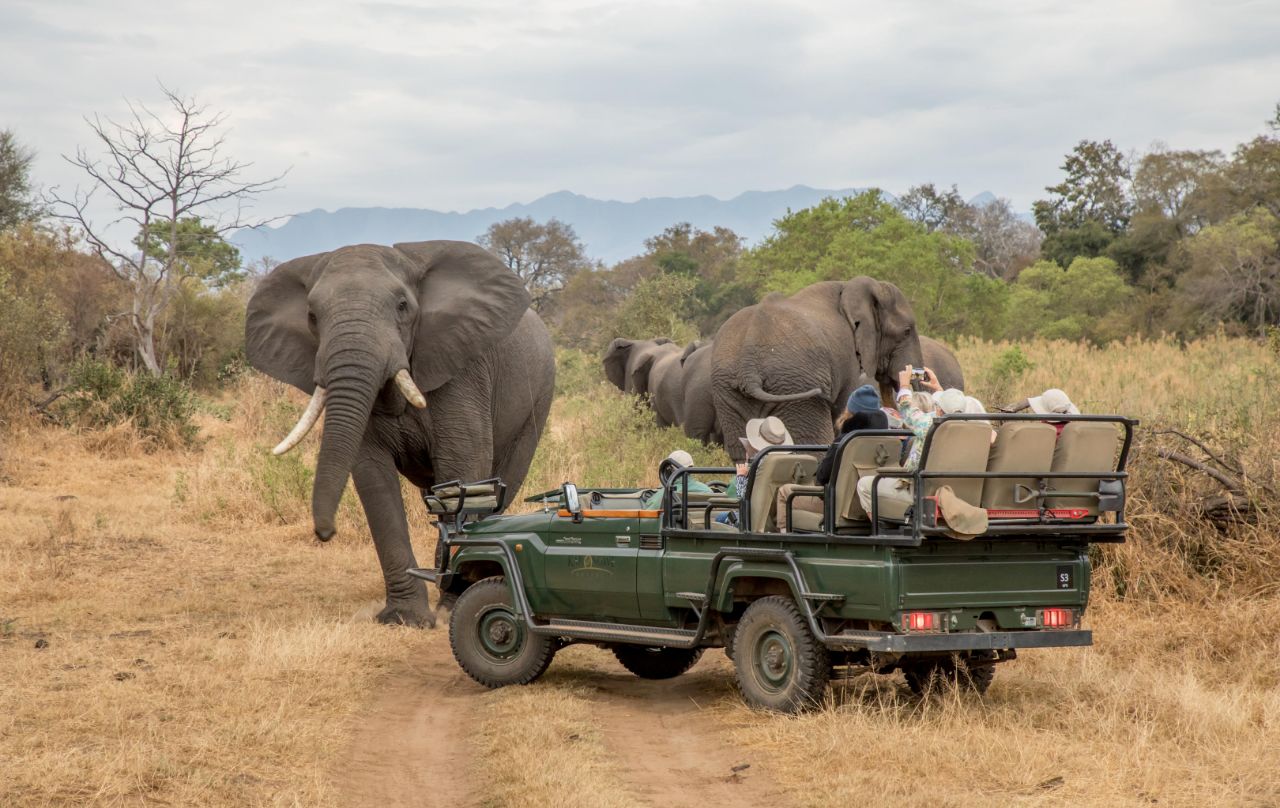 Chisomo-Safari-Camp-Overview-4