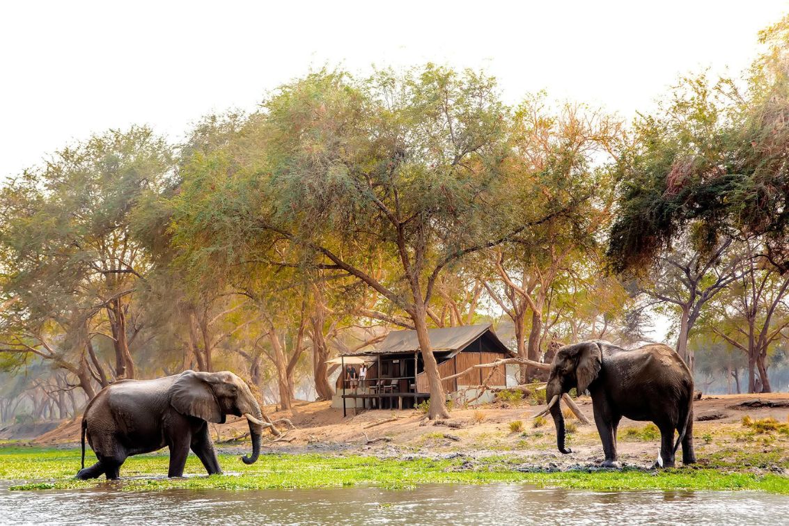 zimbabwe blog
