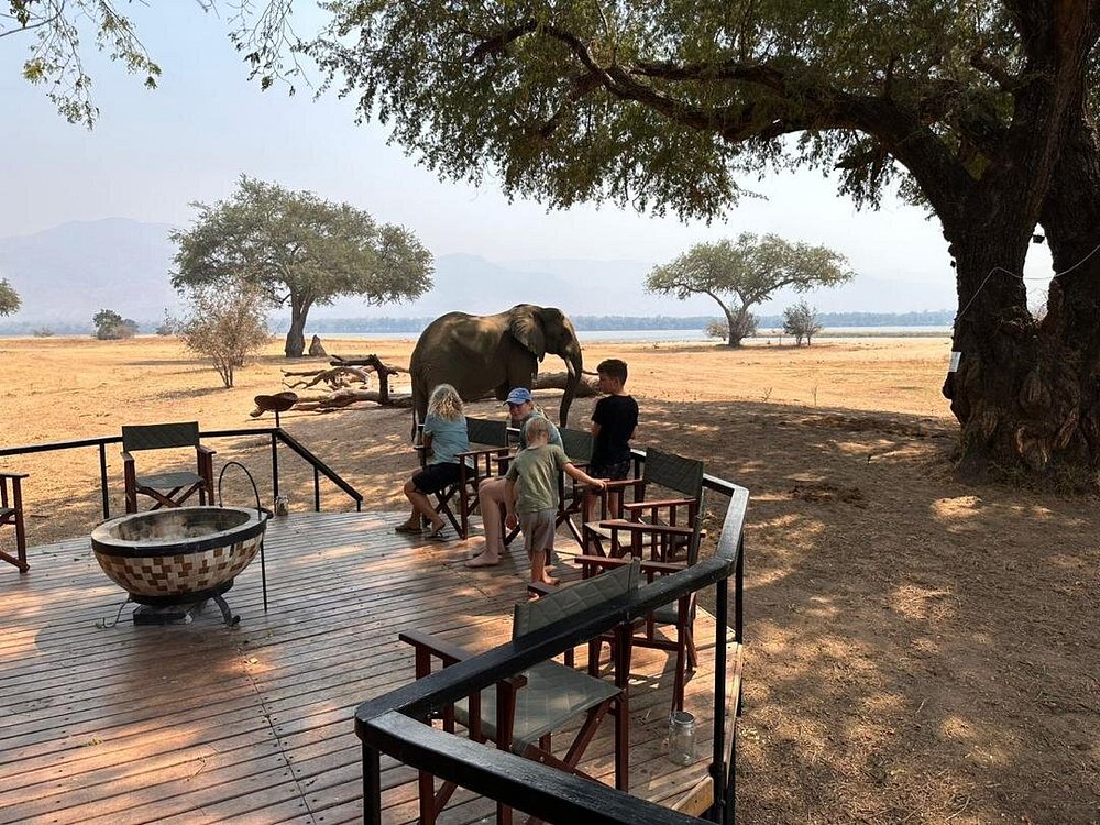 mana-pools-safari-lodge