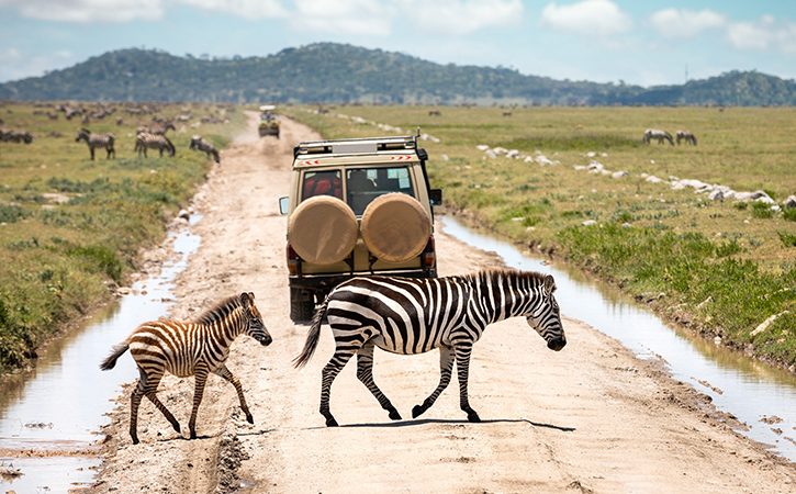 Travel-Guide-to-Serengeti-National-Park-725×450